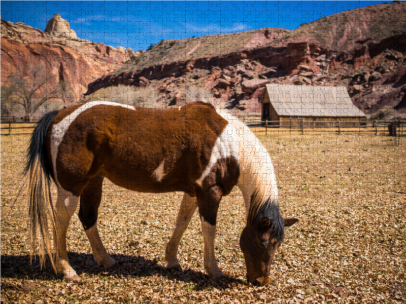 Capitol Reef NP