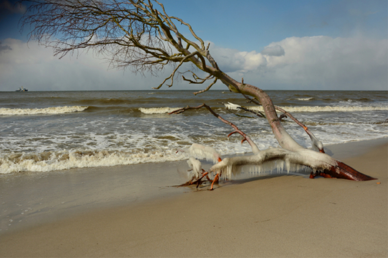 Eiszapfen bilden sich an den Ästen