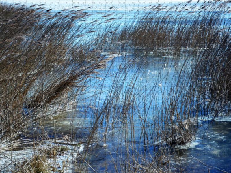 Langsam friert der Bodden in Wiek zu