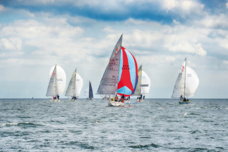 Regattafeld unter Spinnaker