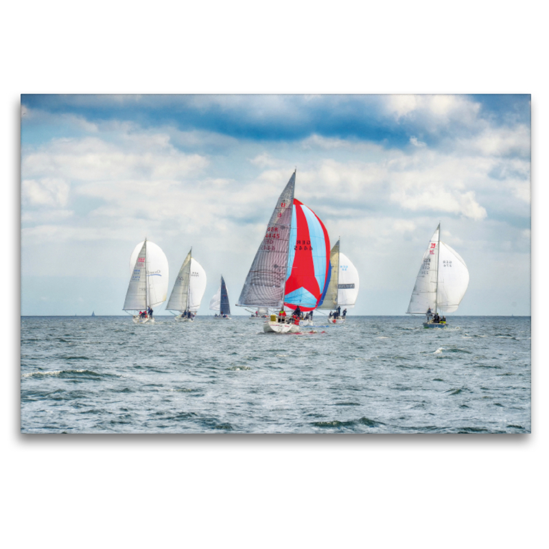 Regattafeld unter Spinnaker