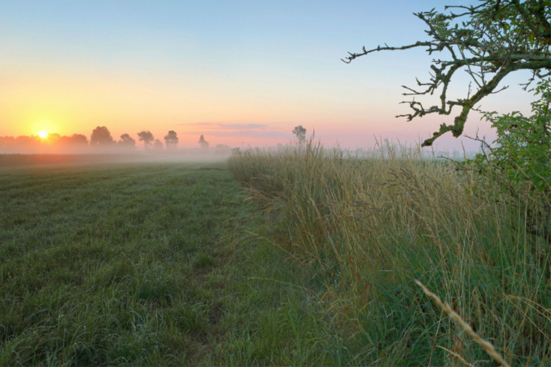 Sonnenaufgang Erdinger Moos