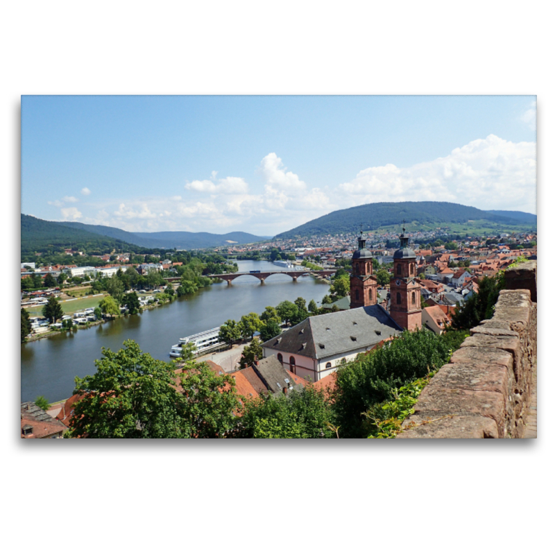 Blick von der Mildenburg über die Altstadt Miltenbergs