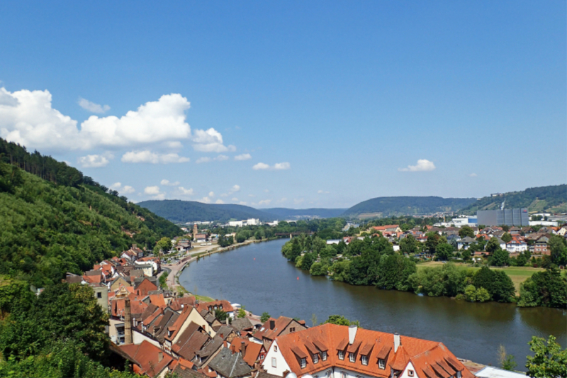 Blick von der Mildenburg in Miltenberg auf den Main