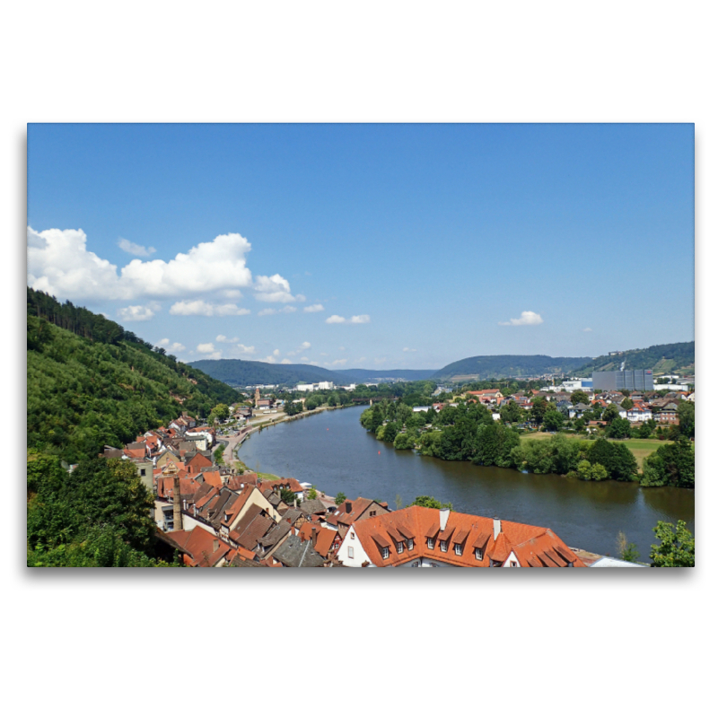 Blick von der Mildenburg in Miltenberg auf den Main