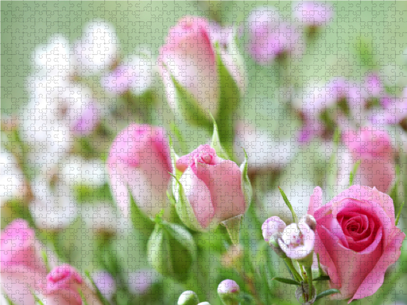 Rosen mit Wachsblumen