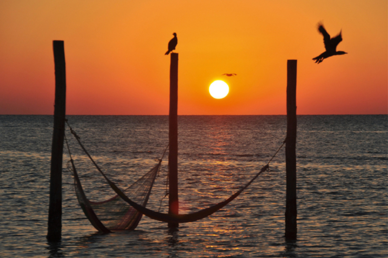 Perfekter Sonnenuntergang mit Hängematten und Vögeln am Meer