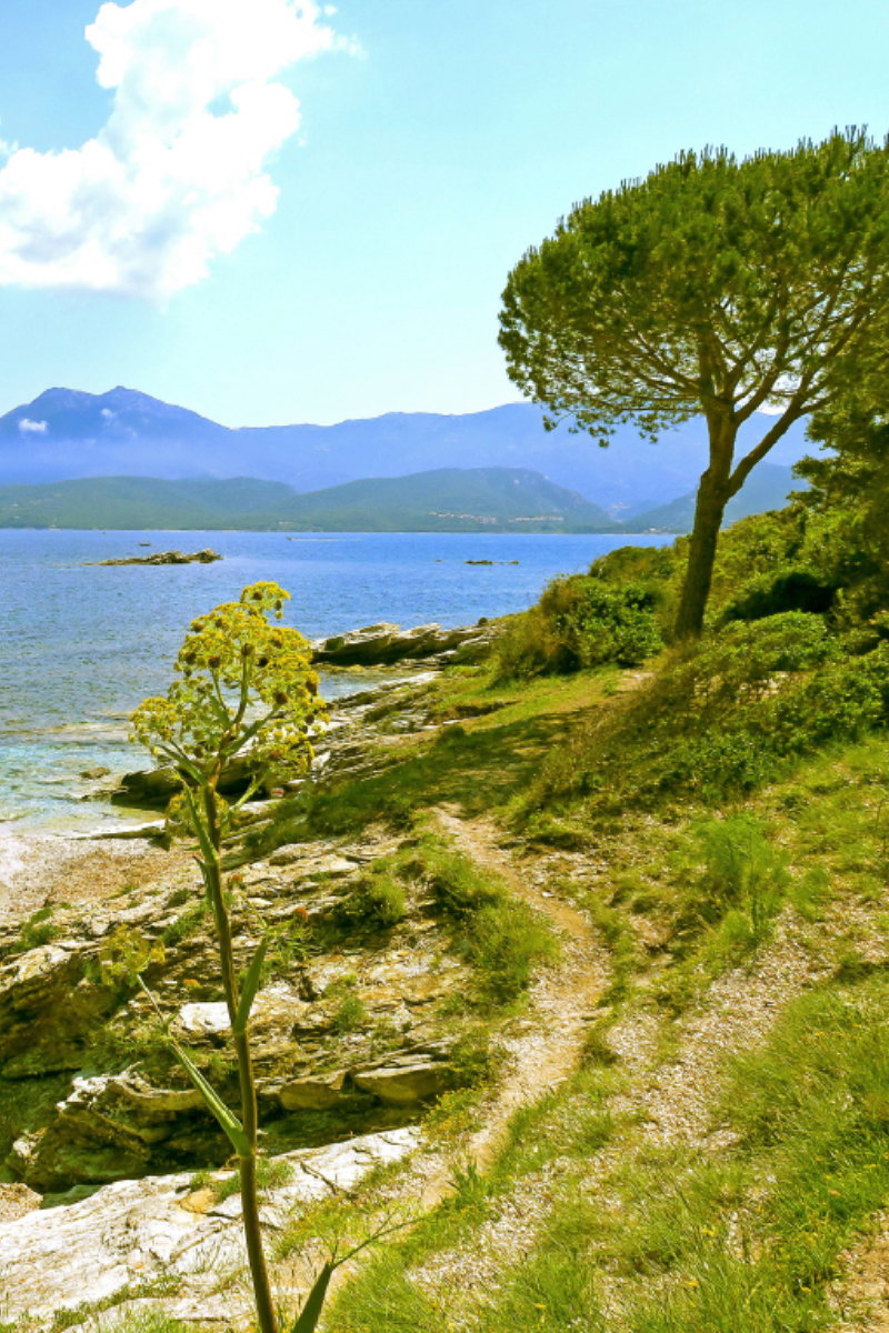 Küstenwanderung bei Saint Florent auf Korsika