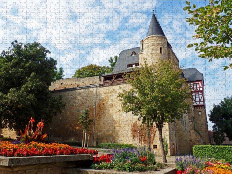 Schloss Alzey