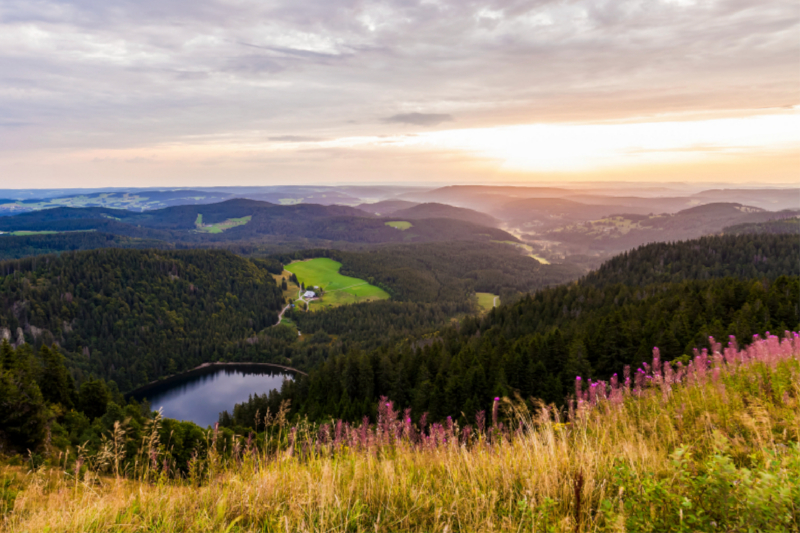 Blick vom Feldberg über den Schwarzwald