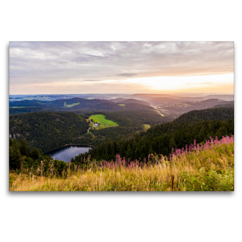 Blick vom Feldberg über den Schwarzwald