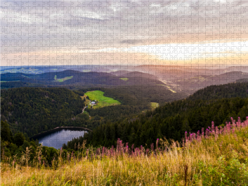 Blick vom Feldberg über den Schwarzwald