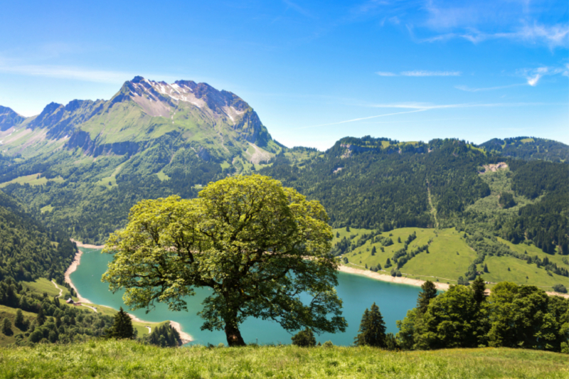 Wägitalersee / SZ