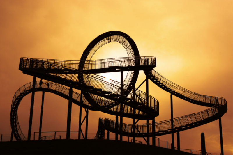 Tiger & Turtle