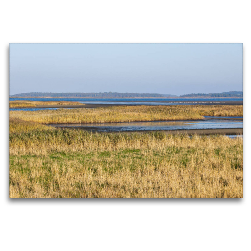 Blick auf den Bodden