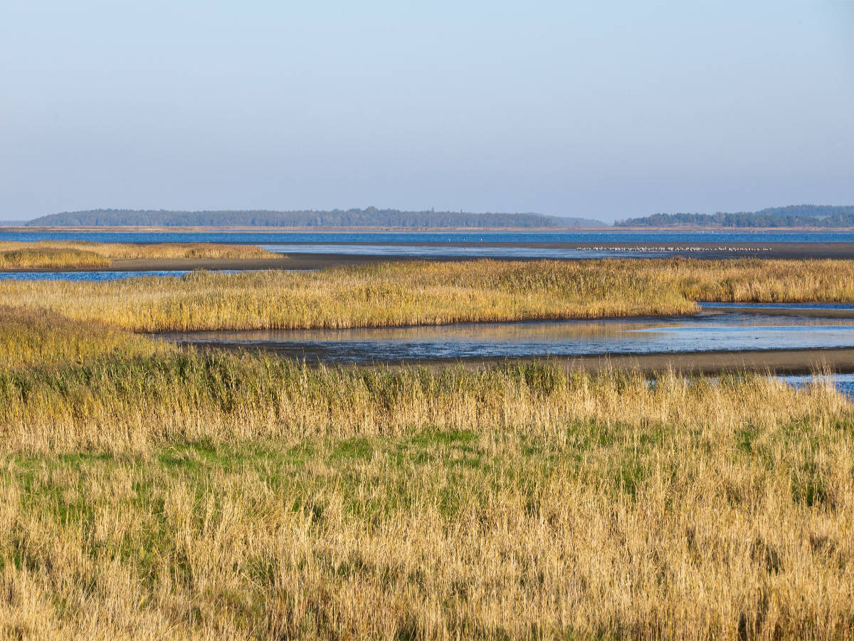 Blick auf den Bodden