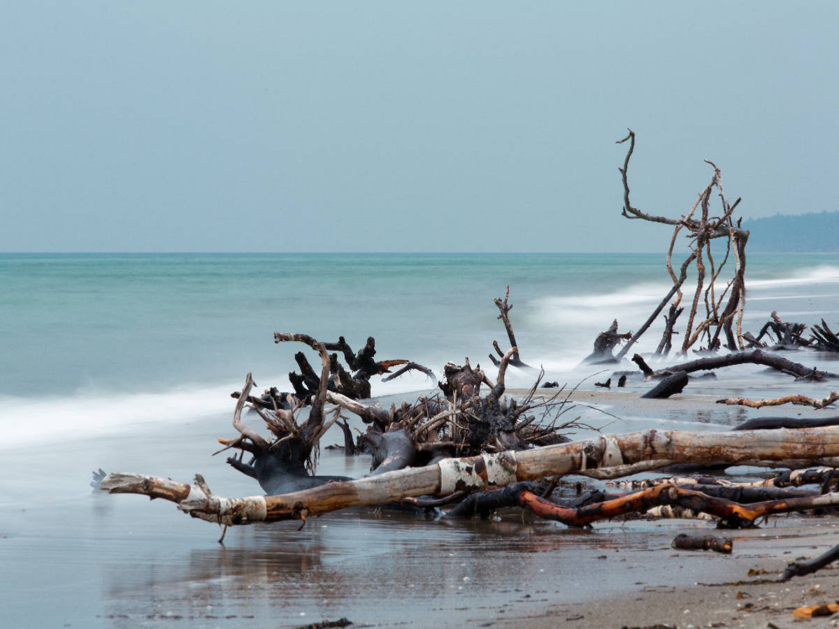 Impressionen vom Weststrand