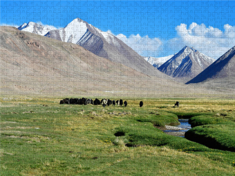 Sommerweide, Uch Kol, Wakhan Korridor, Tadschikistan