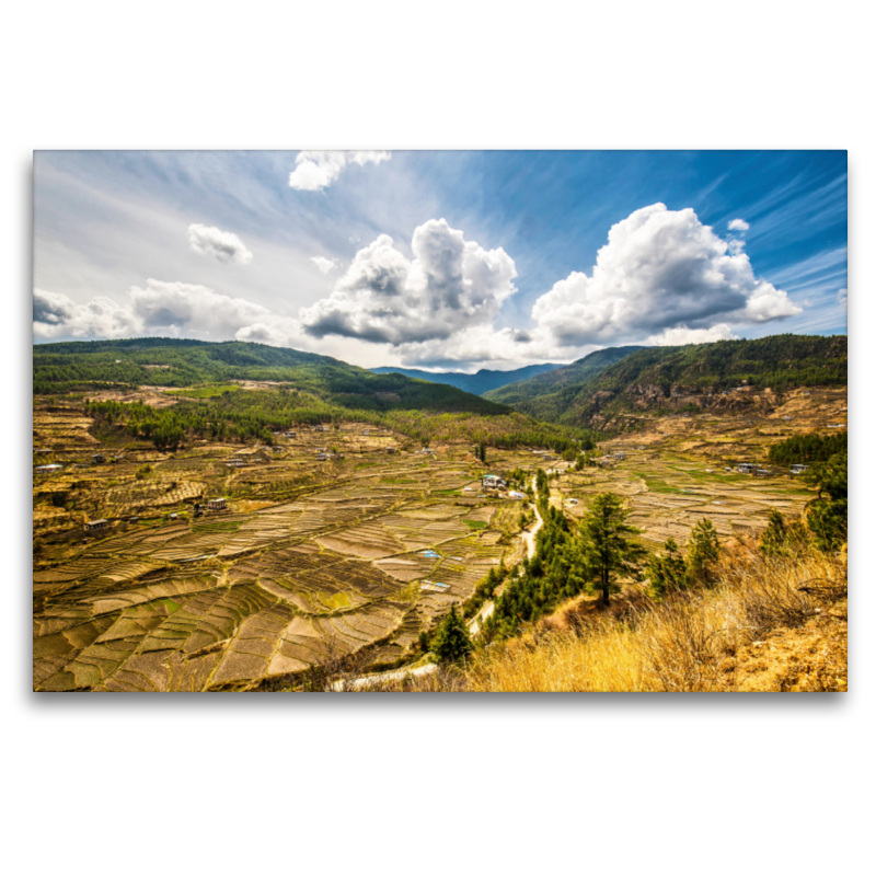 Harmonisches Landschaftsbild mit Reisfelder in Bhutan, Himalaya, Asien