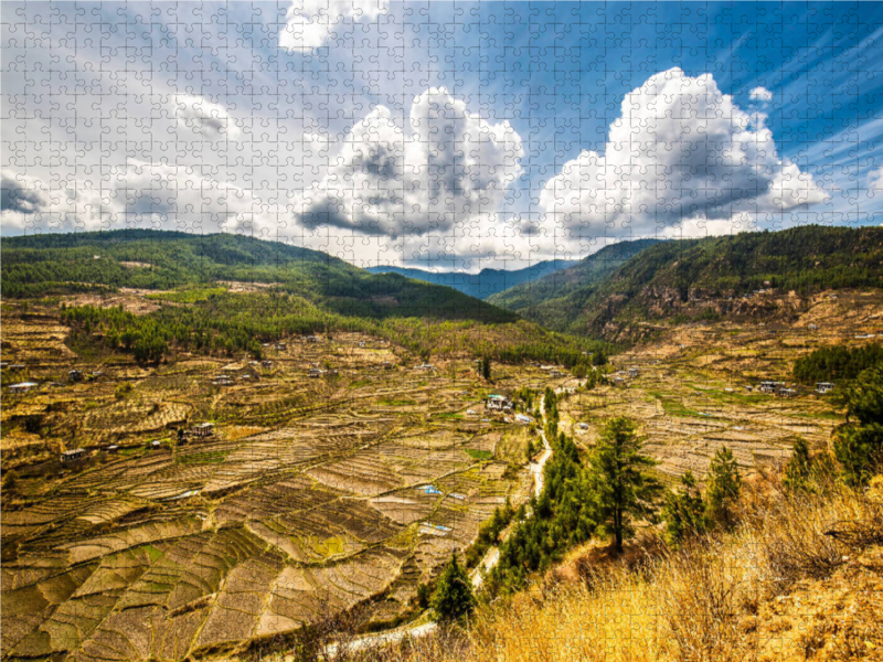 Harmonisches Landschaftsbild mit Reisfelder in Bhutan, Himalaya, Asien