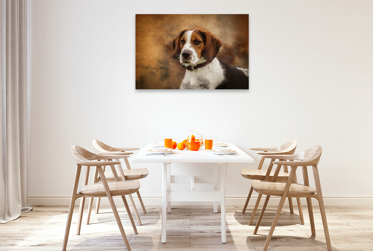 Englischer Beagle