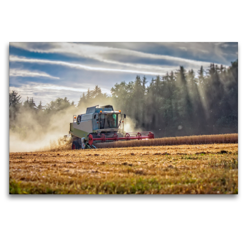 Giganten in der Landwirtschaft - Mähdrescher