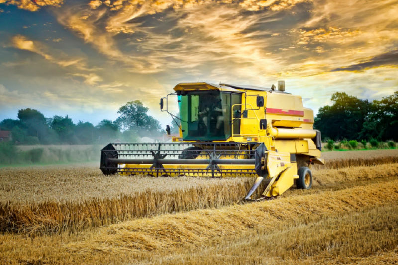 Giganten in der Landwirtschaft - Mähdrescher