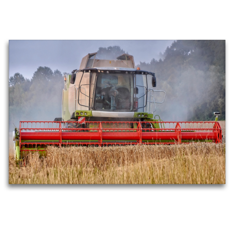 Giganten in der Landwirtschaft - Mähdrescher