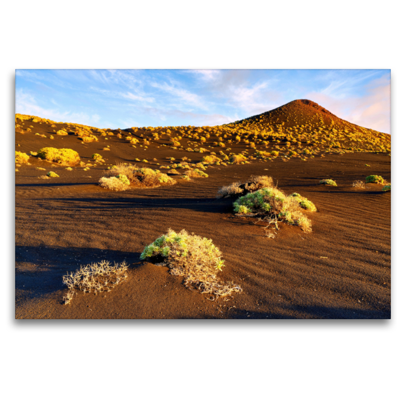 Lavafeld im Süden von La Palma (Kanaren)