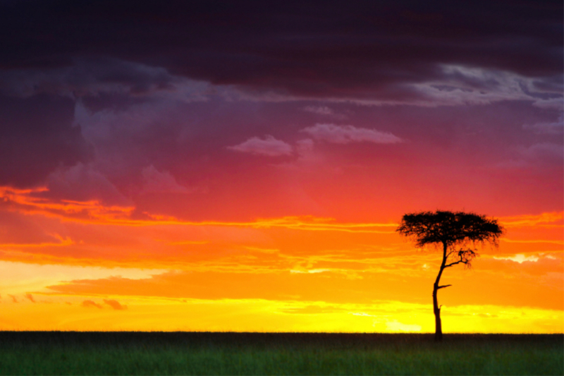 Sonnenuntergang in der Masai Mara