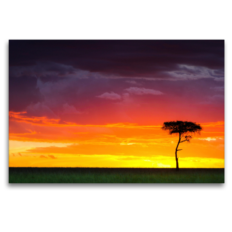 Sonnenuntergang in der Masai Mara