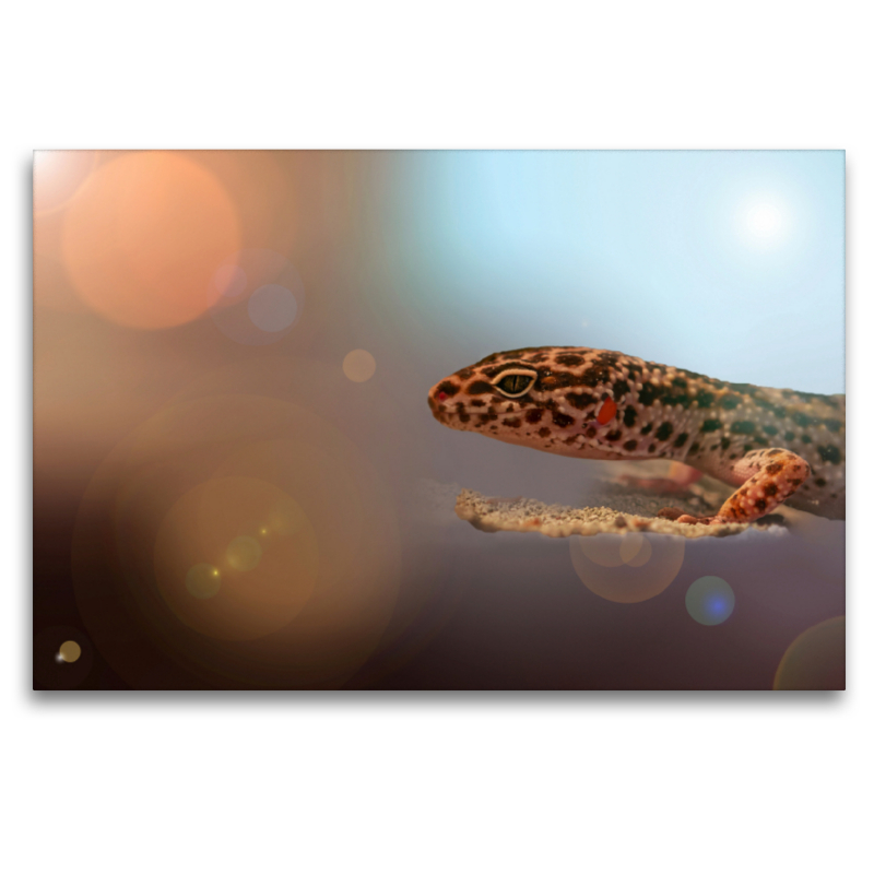 Leopardgecko