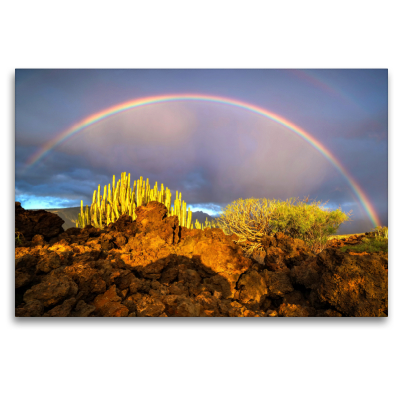 Regenbogen über Wolfsmilch (Teneriffa)