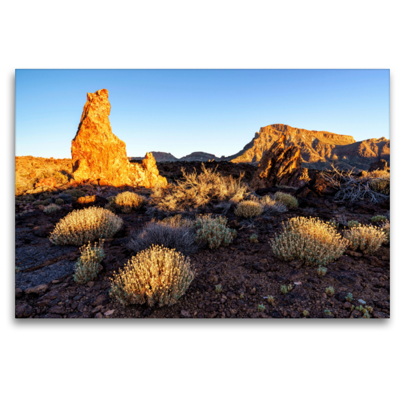 Cañadas del Teide (Teneriffa)