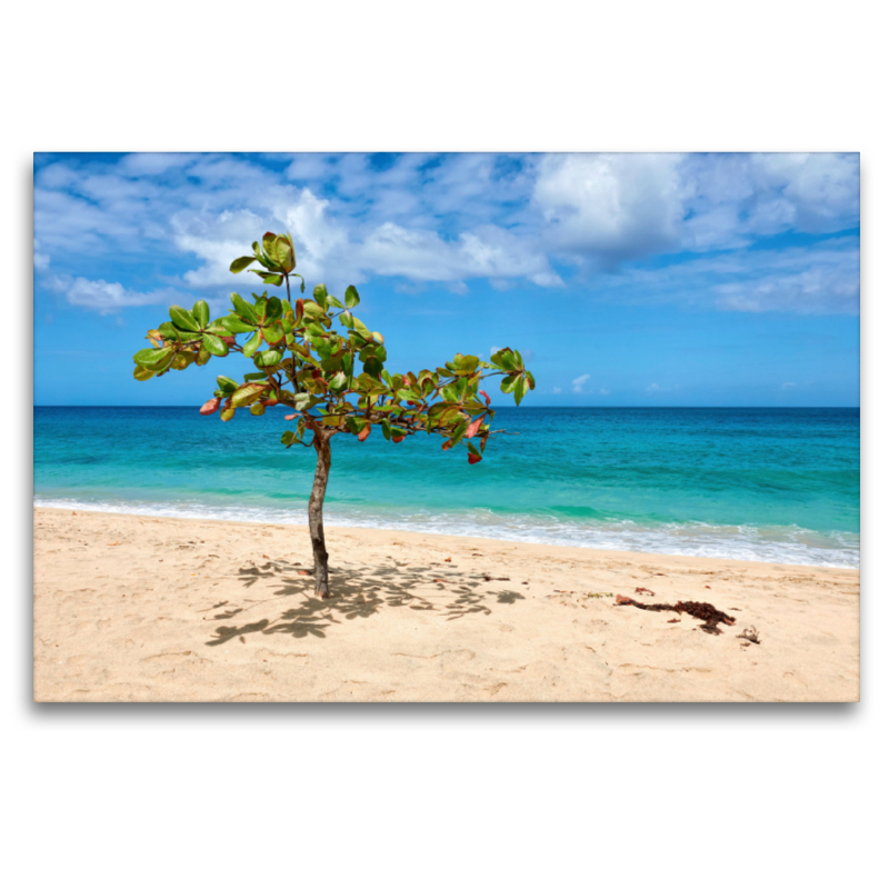 Karibischer Strand auf Grenada