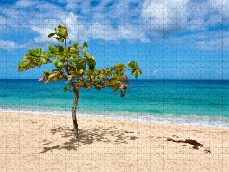 Karibischer Strand auf Grenada