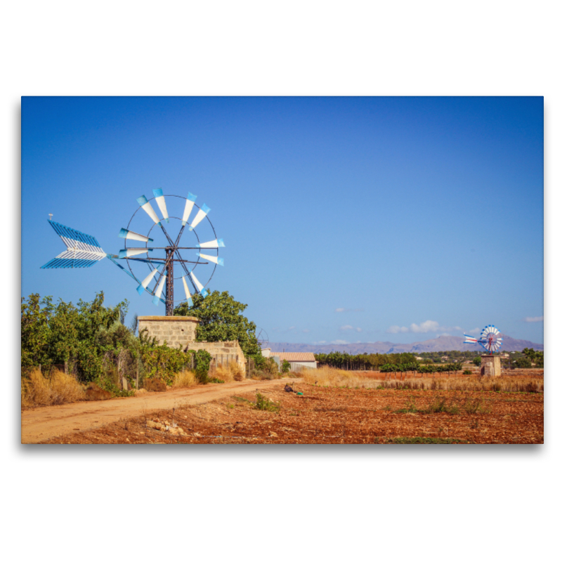 Windmühlen im Inselinneren