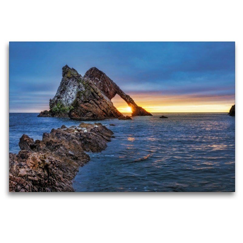 Bow fiddle rock