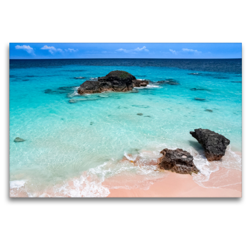 Pink Coral Beach - Bermuda