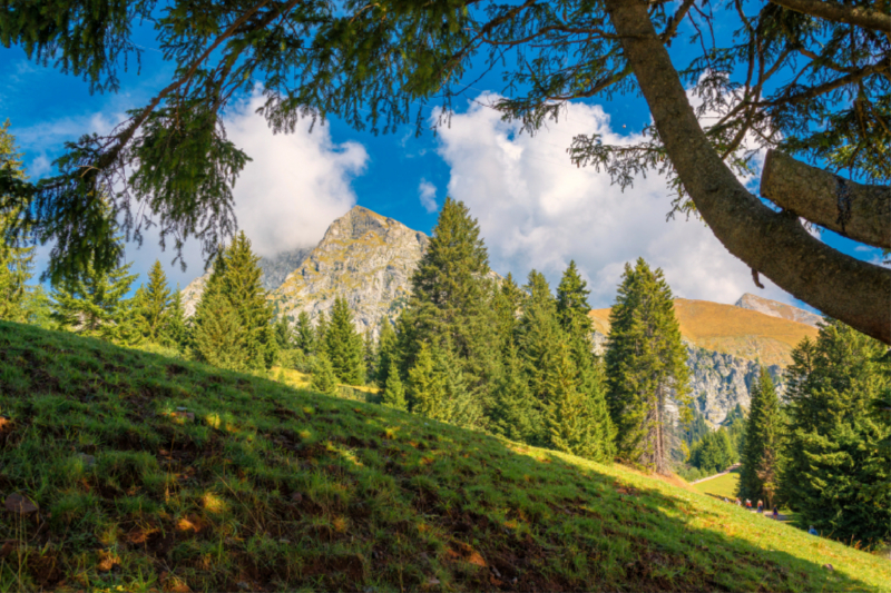 Großer Ifinger von der Bergstation Meran 2000