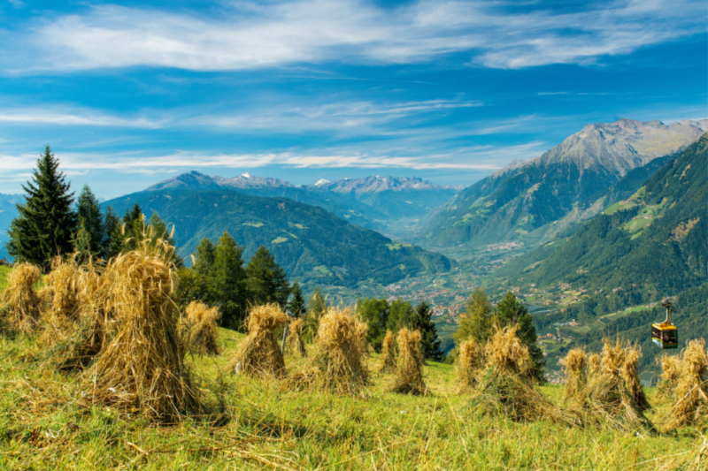 Taseralm mit Blick auf Meran und Texelgruppe