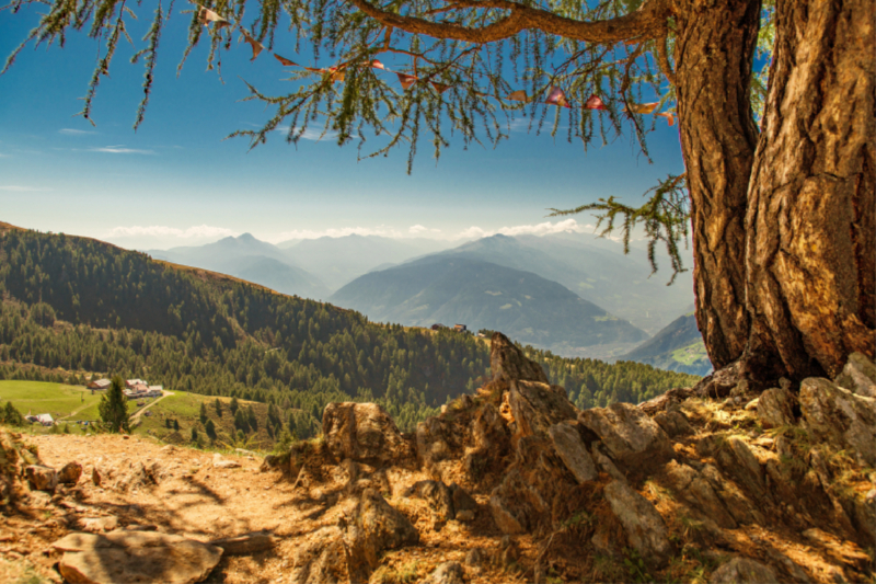 Blick vom Hirzer Almenweg auf die Reseggeralm, Hirzerhütte und Klammeben an einem Spätsommertag