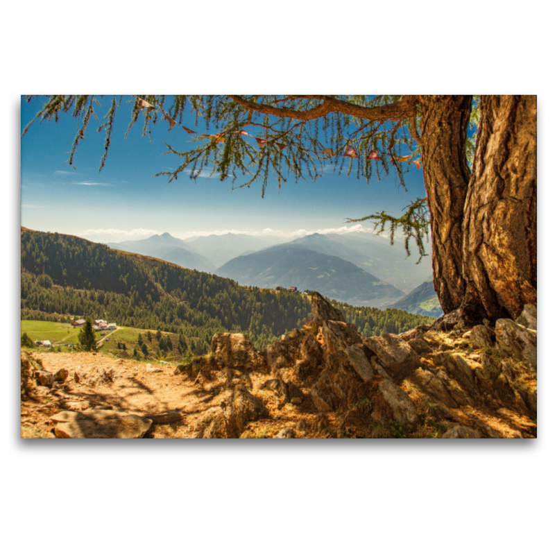 Blick vom Hirzer Almenweg auf die Reseggeralm, Hirzerhütte und Klammeben an einem Spätsommertag