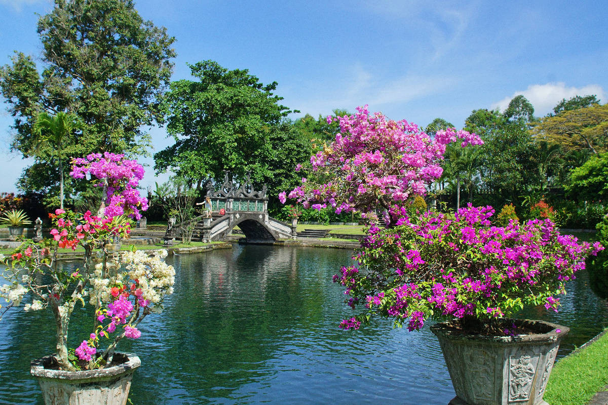 Wassergarten