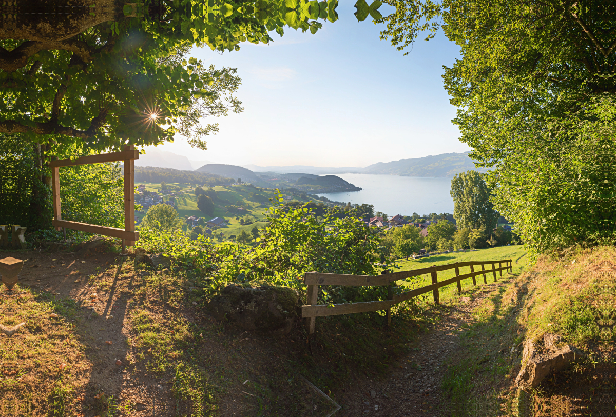 Blick zum Thunersee vom Büel