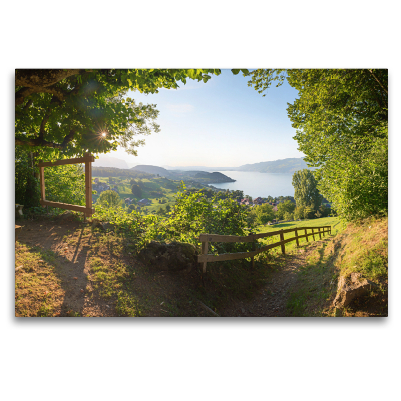 Blick zum Thunersee vom Büel