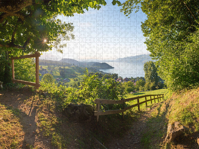 Blick zum Thunersee vom Büel