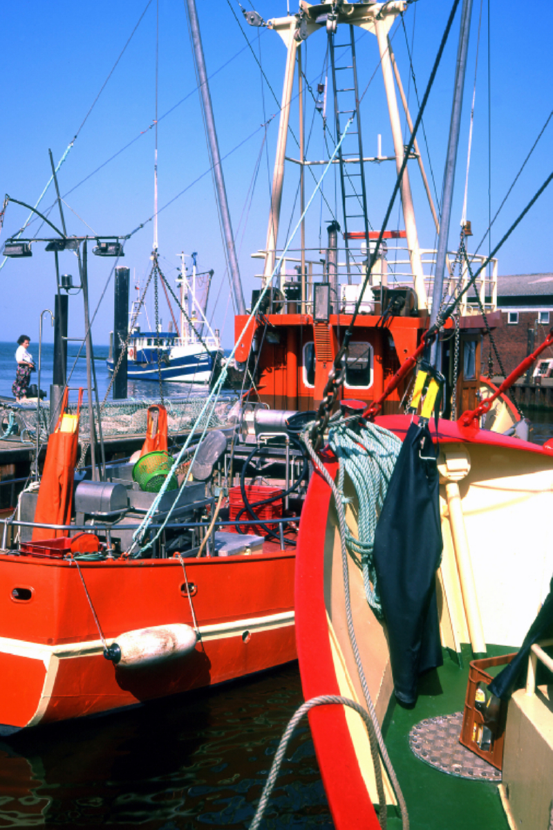 Fischerhafen Harlesiel, Ostfriesland