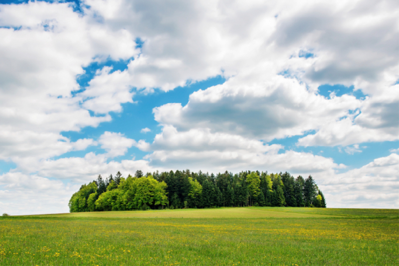 Malerische Landschaft in Freyung