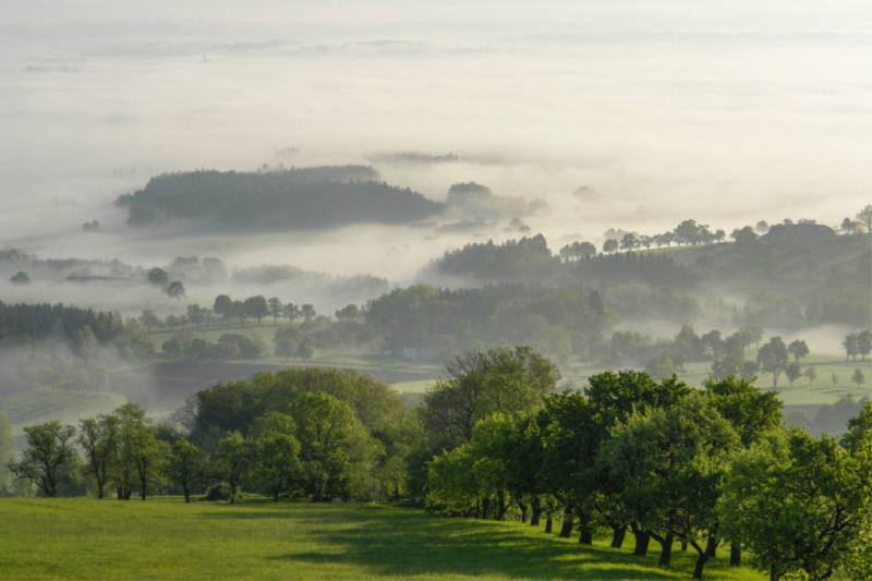 Frühmorgendlicher Blick vom Gasthof Mitterböck in Richtung Donau